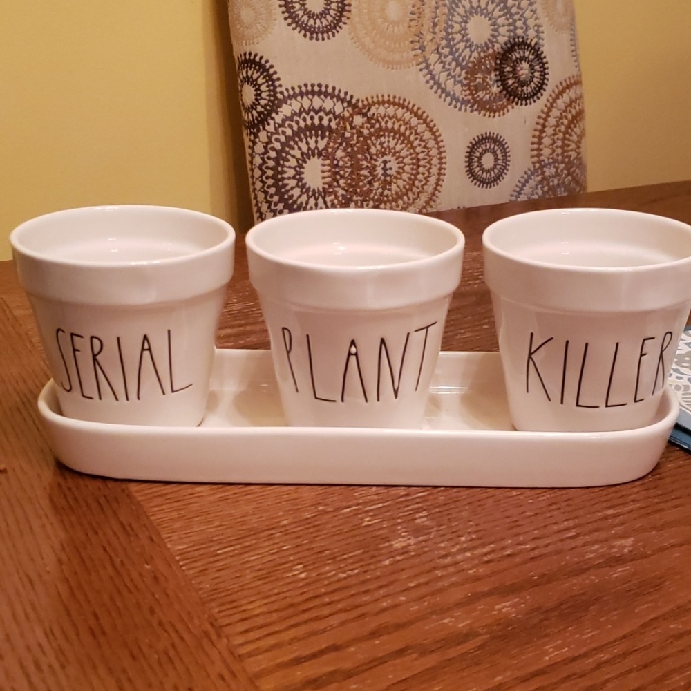 Rae Dunn flower pots